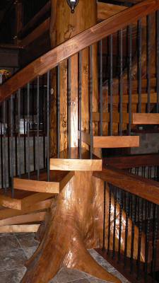 Oak Tree Beam Stairway - Tree Staircase